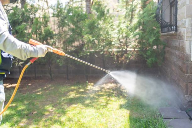 Best Local Pest Control Services  in Fremont, NC